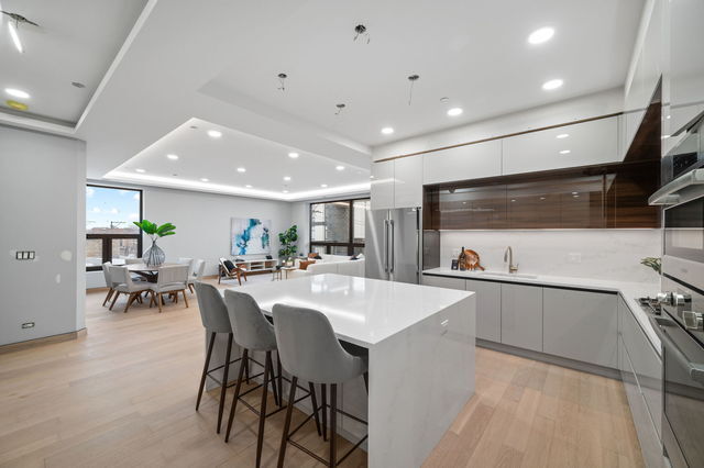 466 N Paulina Street PH-401