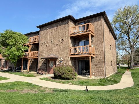 2258 Abbeywood Drive D Lisle IL 60532