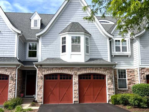 21946 W Tori Lane Deer Park IL 60010