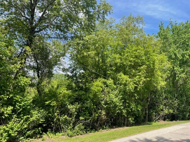 Lot 0 Pine Street S