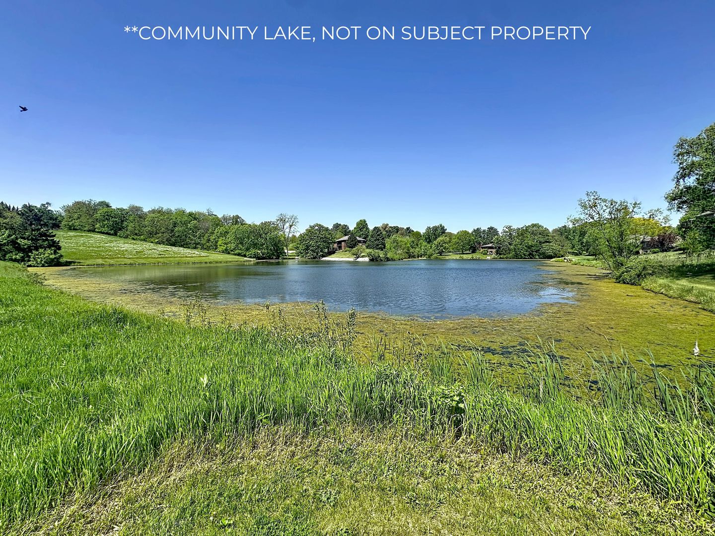 26 Lake Of The Hills