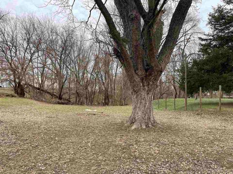 Tiny photo for 309 28th Avenue, East Moline, IL 61244 (MLS # 100000046)