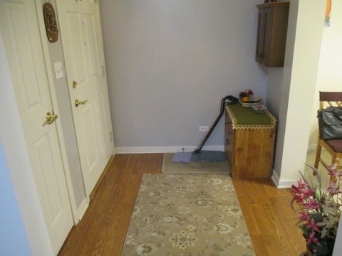 Tiny photo for 126 DAY Street #209, Bloomingdale, IL 60108 (MLS # 12773483)