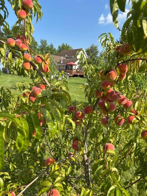 Tiny photo for 3024 E Brunswick Road, Beecher, IL 60401 (MLS # 12537369)