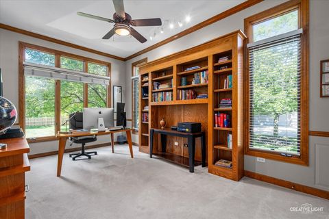 Tiny photo for 4811 Sebastian Court, Naperville, IL 60564 (MLS # 12444695)