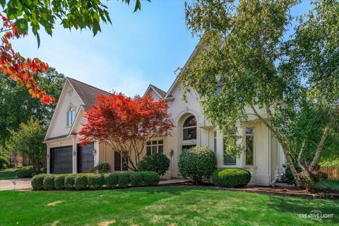 Photo of 4811 Sebastian Court, Naperville, IL 60564 (MLS # 12444695)