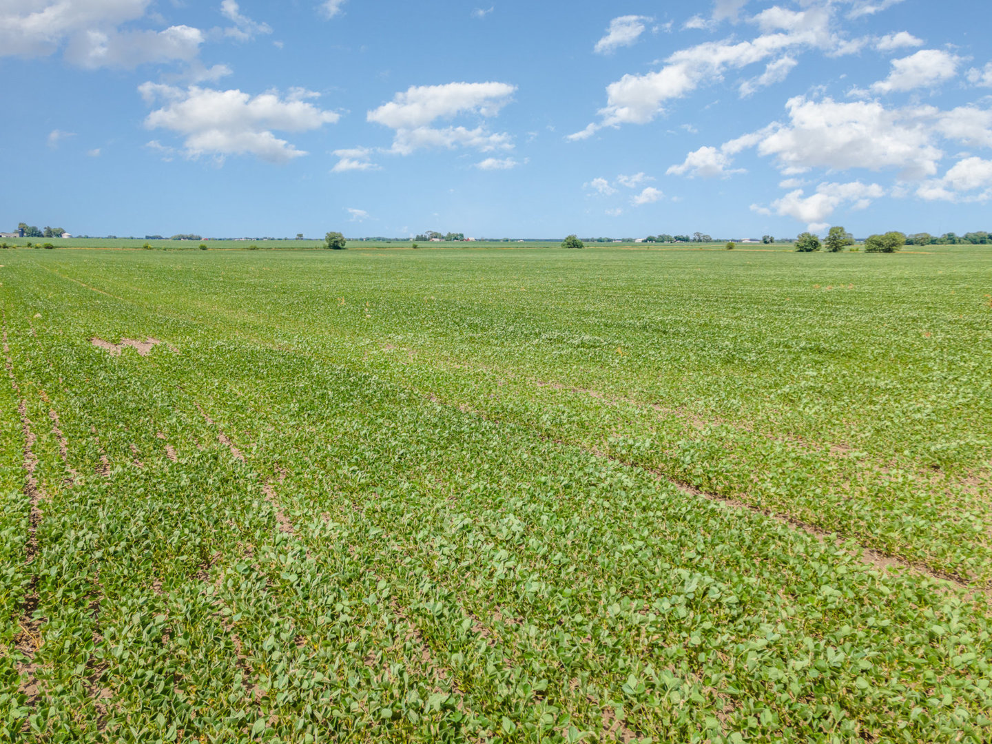 5 Acres Grove Road