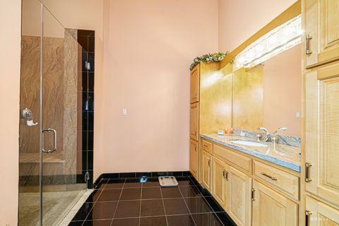 Tiny photo for 13100 Fox Lane, Lemont, IL 60439 (MLS # 12564232)