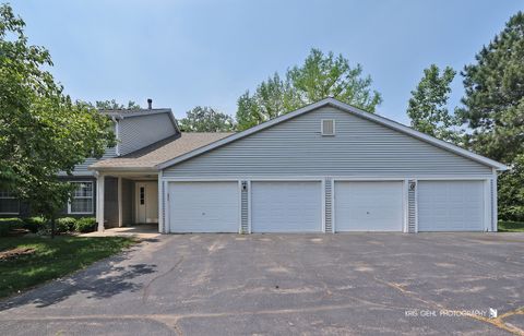 620 Mallard Court C1 Bartlett IL 60103