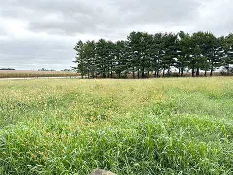 Tiny photo for 1698 E 1400 North Road, Watseka, IL 60970 (MLS # 12764021)