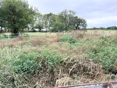 Tiny photo for 1698 E 1400 North Road, Watseka, IL 60970 (MLS # 12764021)