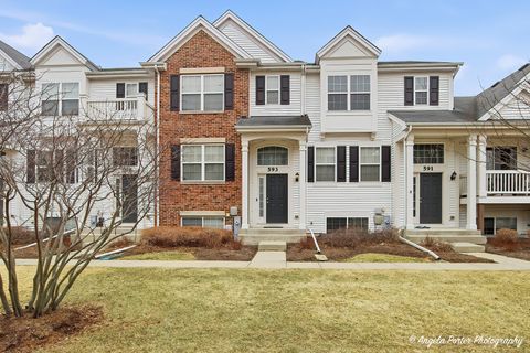 593 Treble Lane Volo IL 60073