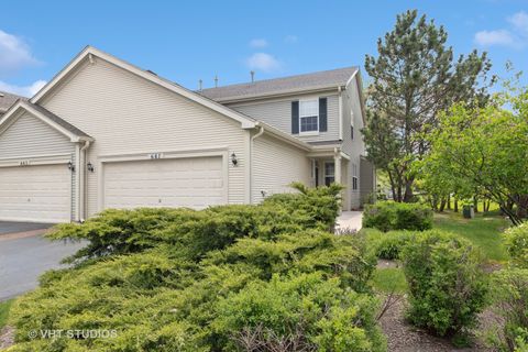 667 W Jonathan Drive Round Lake IL 60073