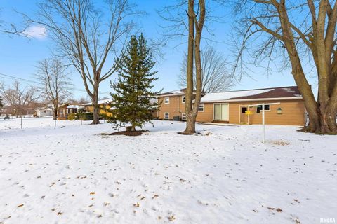 Tiny photo for 1103 15TH Street, De Witt, IA 52742 (MLS # QC4270106)