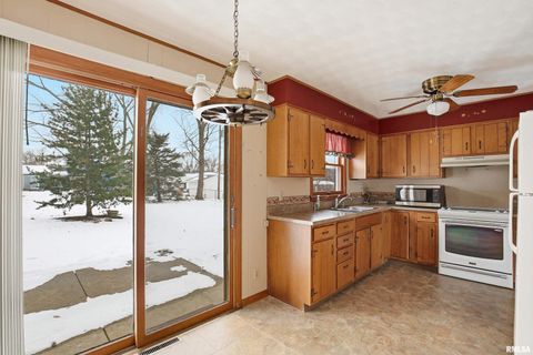 Tiny photo for 1103 15TH Street, De Witt, IA 52742 (MLS # QC4270106)