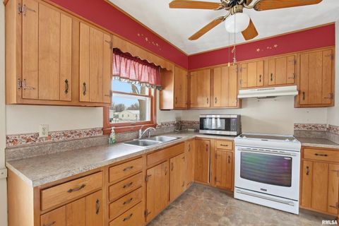 Tiny photo for 1103 15TH Street, De Witt, IA 52742 (MLS # QC4270106)