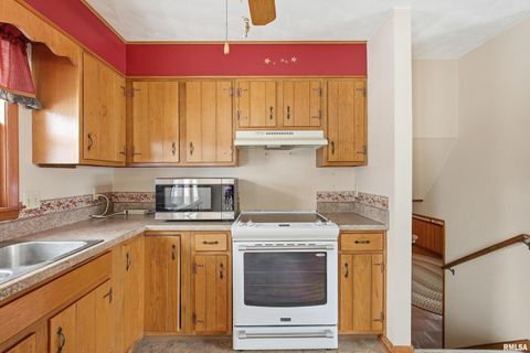 Tiny photo for 1103 15TH Street, De Witt, IA 52742 (MLS # QC4270106)