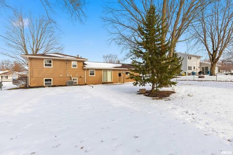 Tiny photo for 1103 15TH Street, De Witt, IA 52742 (MLS # QC4270106)