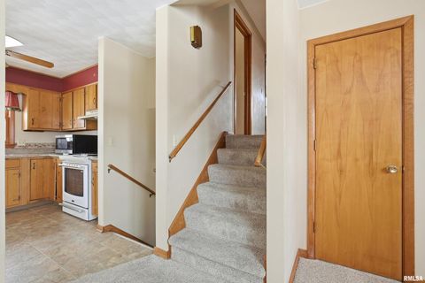 Tiny photo for 1103 15TH Street, De Witt, IA 52742 (MLS # QC4270106)