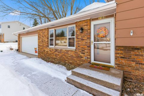 Tiny photo for 1103 15TH Street, De Witt, IA 52742 (MLS # QC4270106)