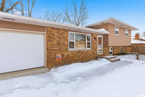 Tiny photo for 1103 15TH Street, De Witt, IA 52742 (MLS # QC4270106)