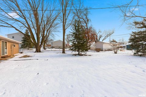 Tiny photo for 1103 15TH Street, De Witt, IA 52742 (MLS # QC4270106)