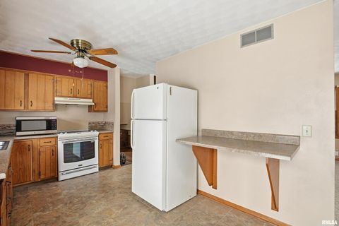 Tiny photo for 1103 15TH Street, De Witt, IA 52742 (MLS # QC4270106)