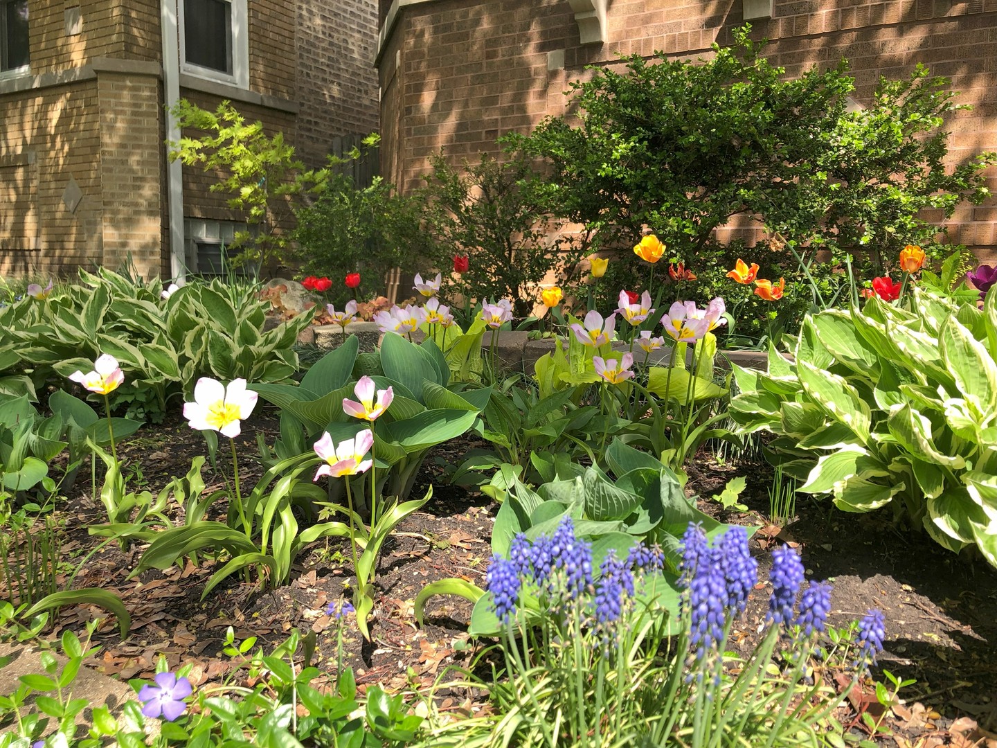 5747 N Sacramento Avenue