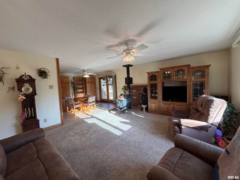 Tiny photo for 61 W TIMBERLINE Drive, Blue Grass, IA 52726 (MLS # QC4269390)