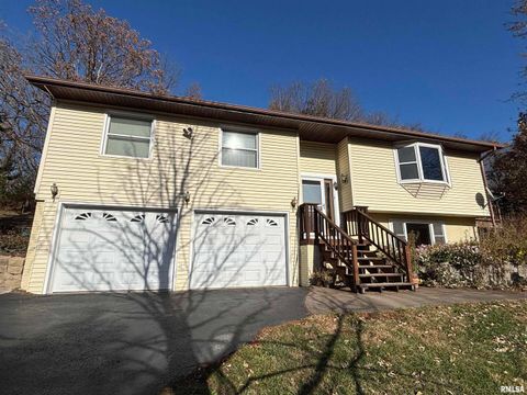 Tiny photo for 61 W TIMBERLINE Drive, Blue Grass, IA 52726 (MLS # QC4269390)