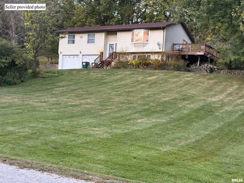 Tiny photo for 61 W TIMBERLINE Drive, Blue Grass, IA 52726 (MLS # QC4269390)