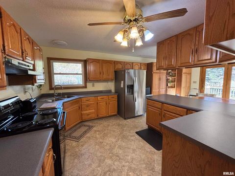 Tiny photo for 61 W TIMBERLINE Drive, Blue Grass, IA 52726 (MLS # QC4269390)