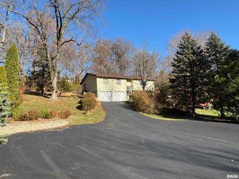 Photo of 61 W TIMBERLINE Drive, Blue Grass, IA 52726 (MLS # QC4269390)