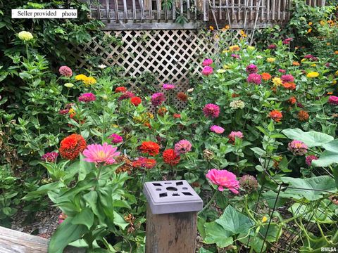 Tiny photo for 61 W TIMBERLINE Drive, Blue Grass, IA 52726 (MLS # QC4269390)