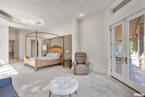 Tiny photo for 28176 226TH Street, Le Claire, IA 52753 (MLS # QC4266685)