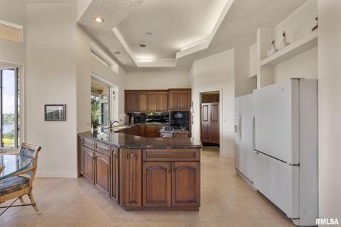 Tiny photo for 28176 226TH Street, Le Claire, IA 52753 (MLS # QC4266685)