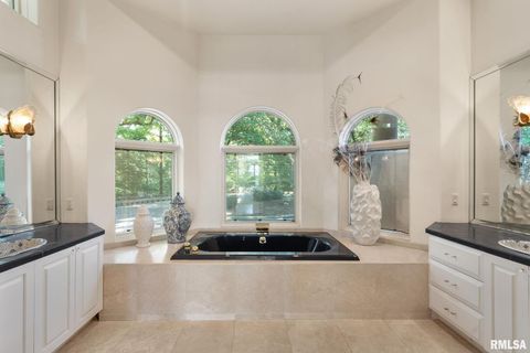 Tiny photo for 28176 226TH Street, Le Claire, IA 52753 (MLS # QC4266685)