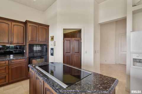 Tiny photo for 28176 226TH Street, Le Claire, IA 52753 (MLS # QC4266685)