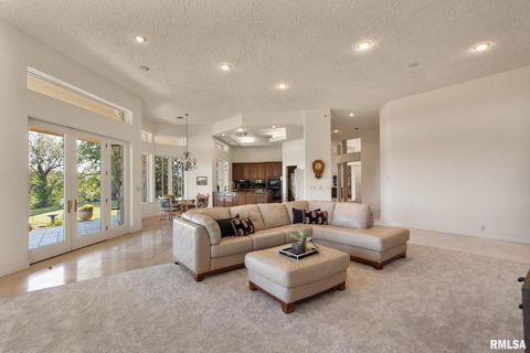 Tiny photo for 28176 226TH Street, Le Claire, IA 52753 (MLS # QC4266685)