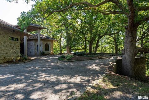 Tiny photo for 28176 226TH Street, Le Claire, IA 52753 (MLS # QC4266685)