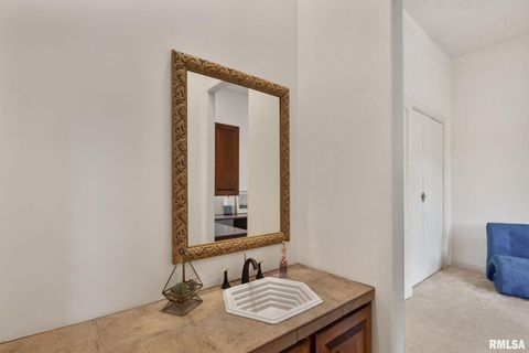 Tiny photo for 28176 226TH Street, Le Claire, IA 52753 (MLS # QC4266685)