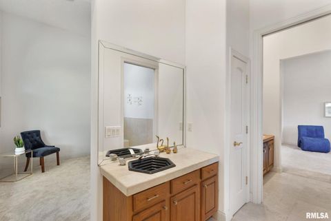 Tiny photo for 28176 226TH Street, Le Claire, IA 52753 (MLS # QC4266685)