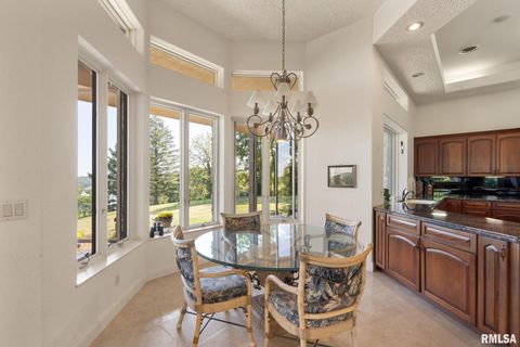 Tiny photo for 28176 226TH Street, Le Claire, IA 52753 (MLS # QC4266685)