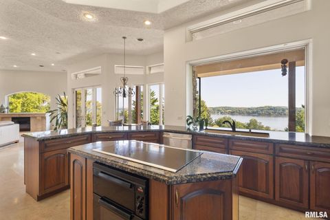 Tiny photo for 28176 226TH Street, Le Claire, IA 52753 (MLS # QC4266685)