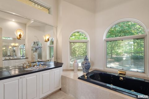 Tiny photo for 28176 226TH Street, Le Claire, IA 52753 (MLS # QC4266685)