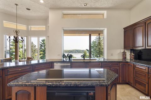 Tiny photo for 28176 226TH Street, Le Claire, IA 52753 (MLS # QC4266685)