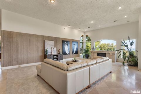 Tiny photo for 28176 226TH Street, Le Claire, IA 52753 (MLS # QC4266685)