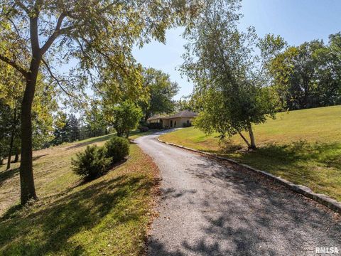 Tiny photo for 28176 226TH Street, Le Claire, IA 52753 (MLS # QC4266685)