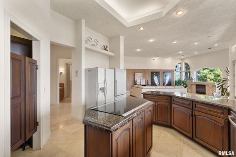 Tiny photo for 28176 226TH Street, Le Claire, IA 52753 (MLS # QC4266685)