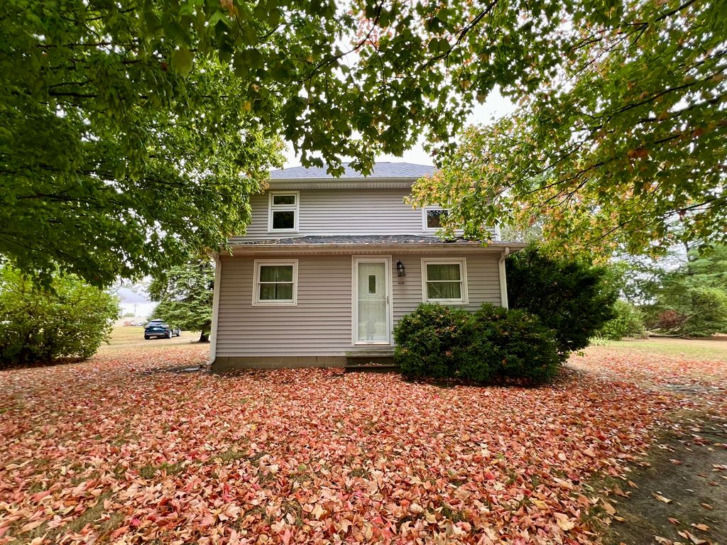 Photo for 320 N Main Street, Gifford, IL 61847 (MLS # 12442888)